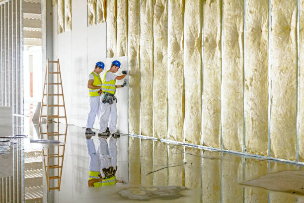 Best Commercial Insulation Services  in Marion, MS